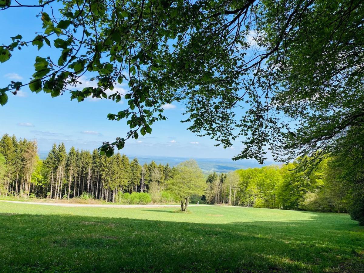 Pension Schmitt Waldfenster エクステリア 写真