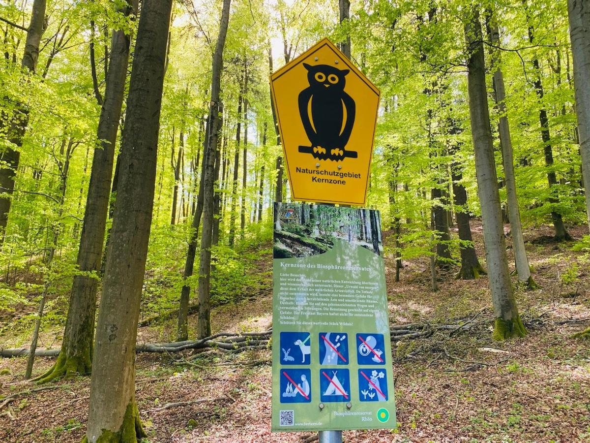 Pension Schmitt Waldfenster エクステリア 写真