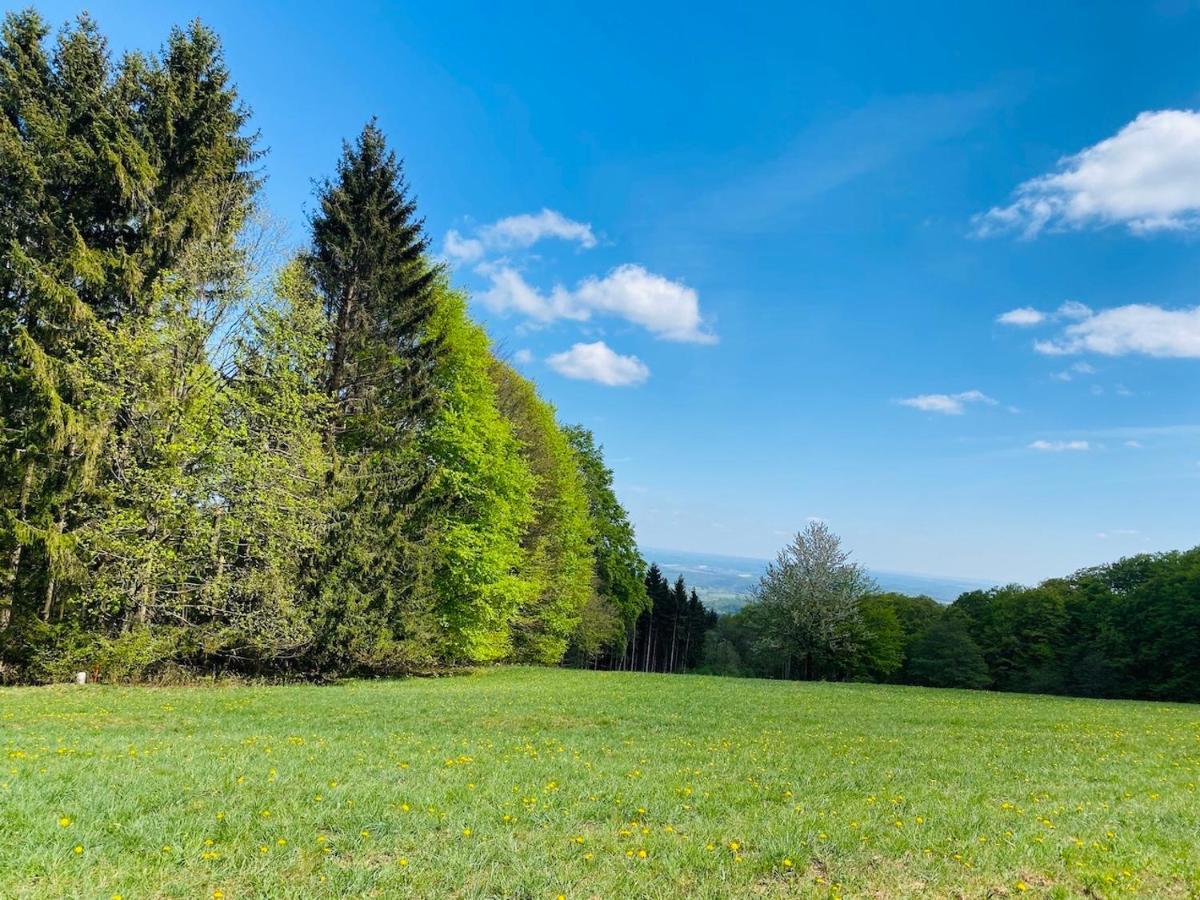 Pension Schmitt Waldfenster エクステリア 写真