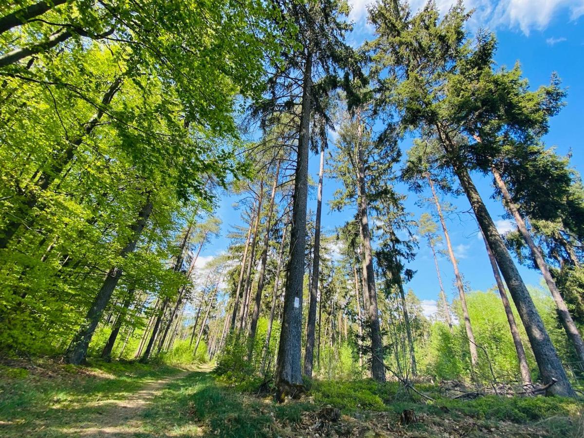 Pension Schmitt Waldfenster エクステリア 写真